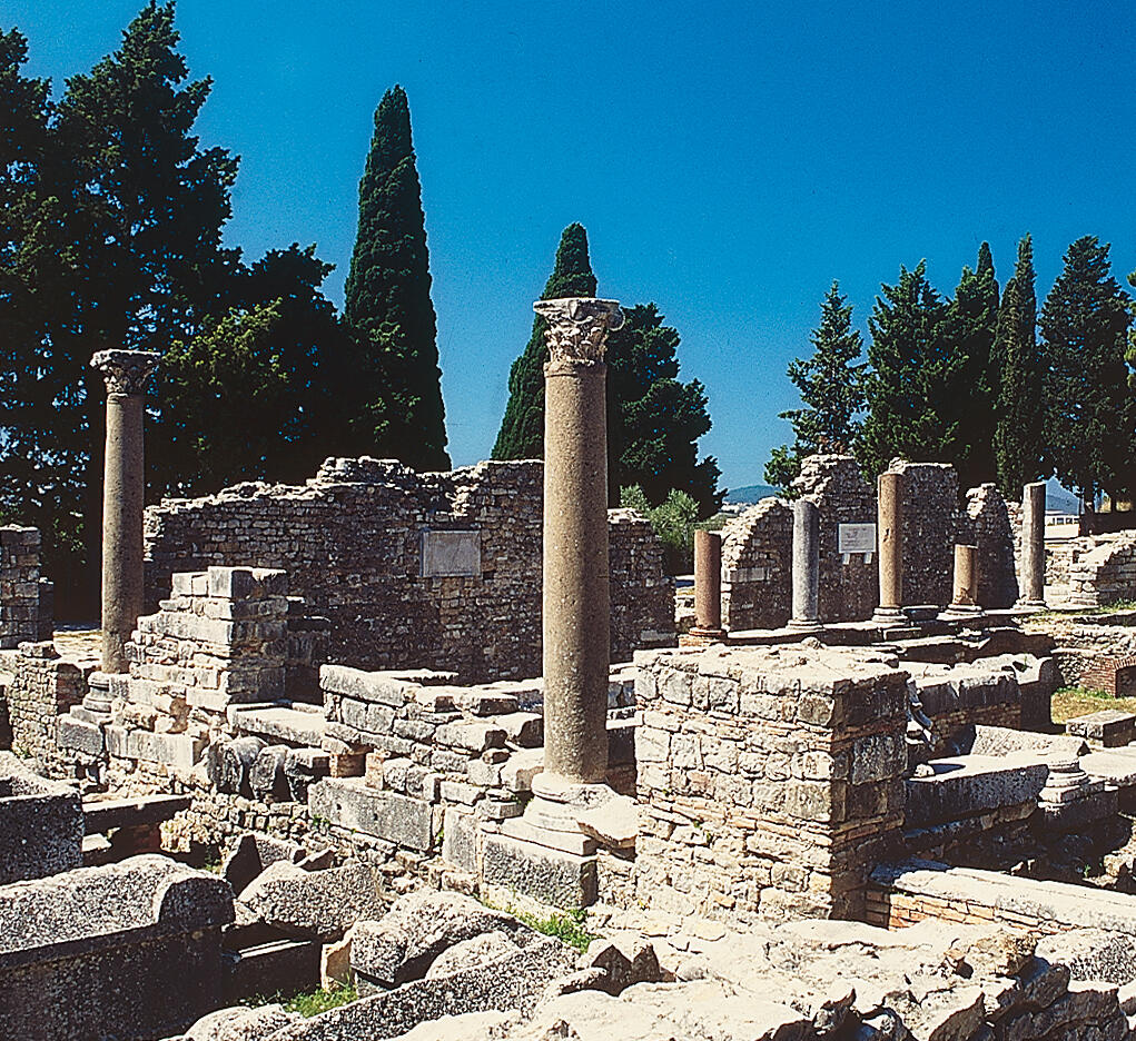 931-normal-52qaunm36