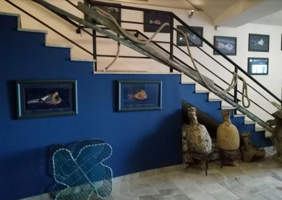 aquarium-museum-of-mar-IuDx0jY